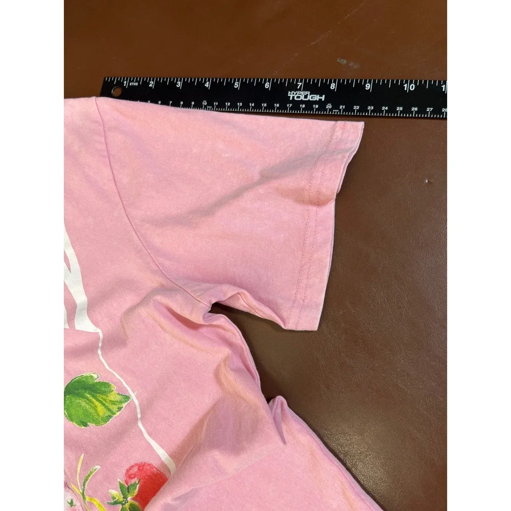 Strawberry Shortcake‎ Pink Graphic Tee Retro Cartoon Short Sleeve Shirt Small